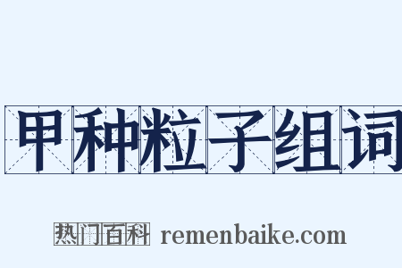 甲种粒子组词是什么意思的图片